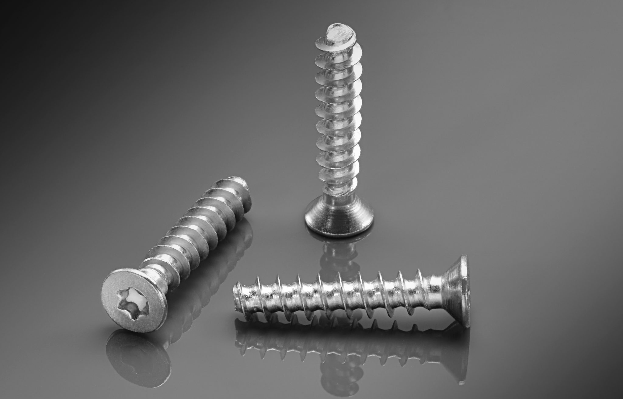 Screws for Plastic Materials KILTON